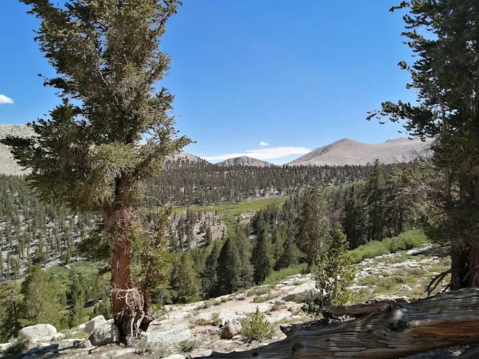 Cottonwood Lakes Walk in Campground Picture 6