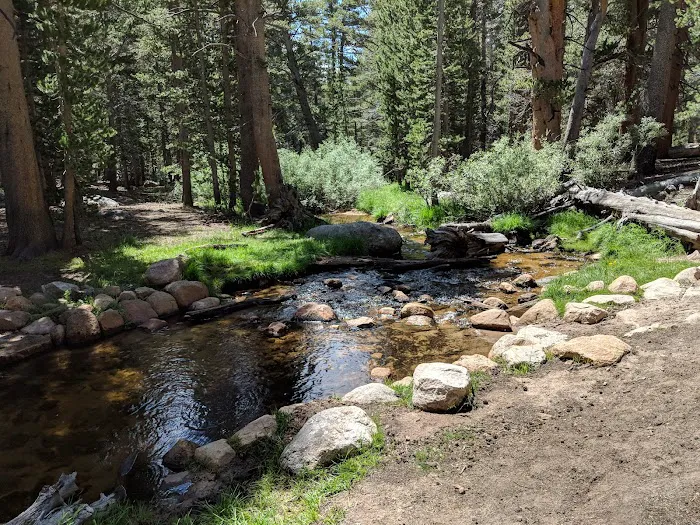 Horseshoe Meadow Campground Picture 3
