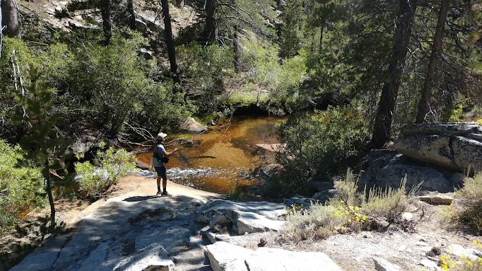 Horseshoe Meadow Campground Picture 1