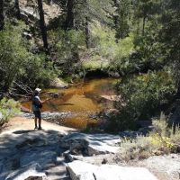 Horseshoe Meadow Campground ico