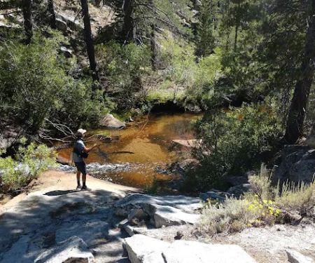 Horseshoe Meadow Campground