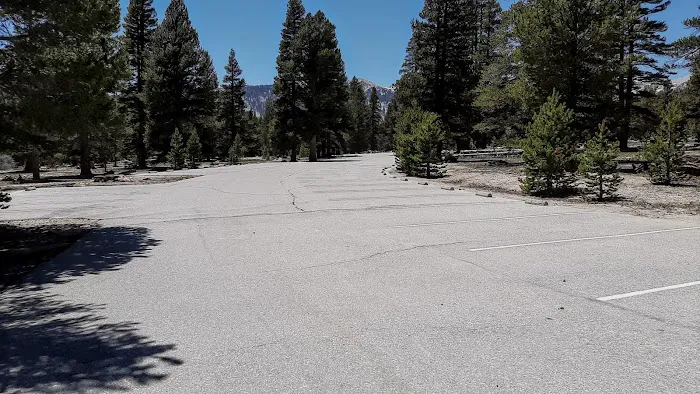 Horseshoe Meadow Campground Picture 8