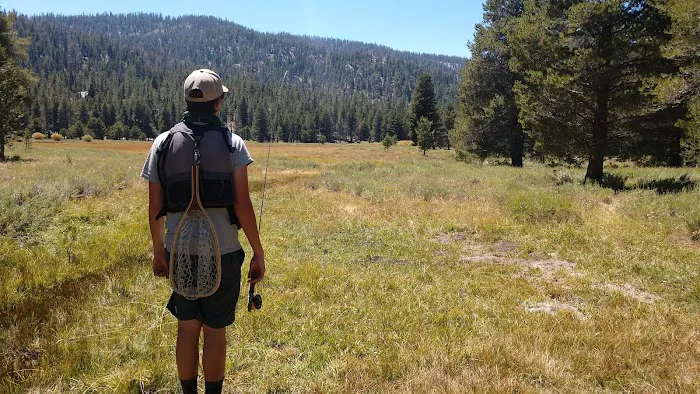 Horseshoe Meadow Campground Picture 5