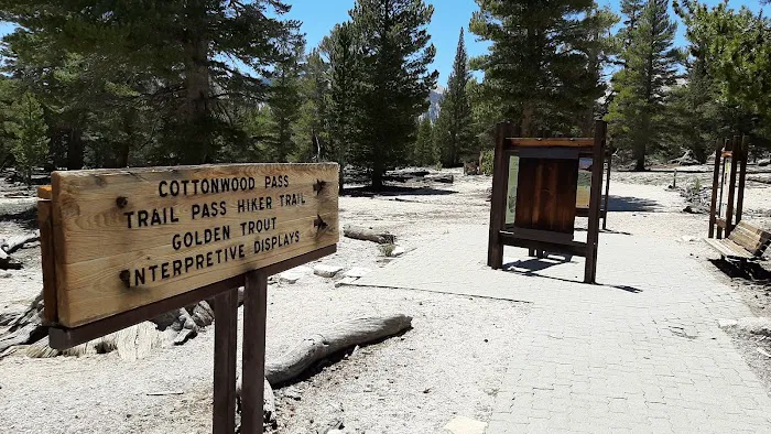 Horseshoe Meadow Campground Picture 10