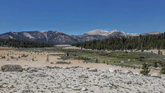 Horseshoe Meadow Campground Picture 6