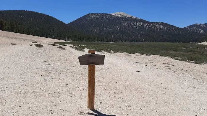 Horseshoe Meadow Campground Picture 7
