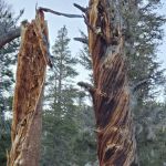 Horseshoe Meadow Equestrian Camp