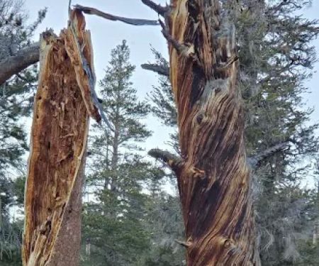 Horseshoe Meadow Equestrian Camp