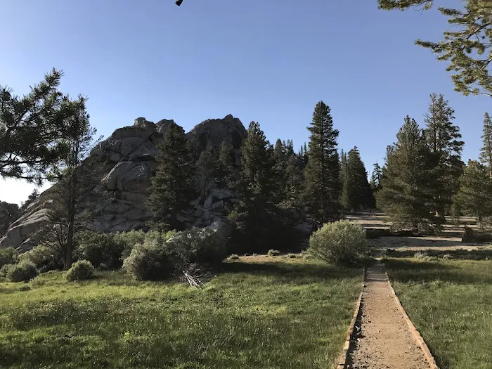 Horseshoe Meadow Equestrian Camp Picture 6