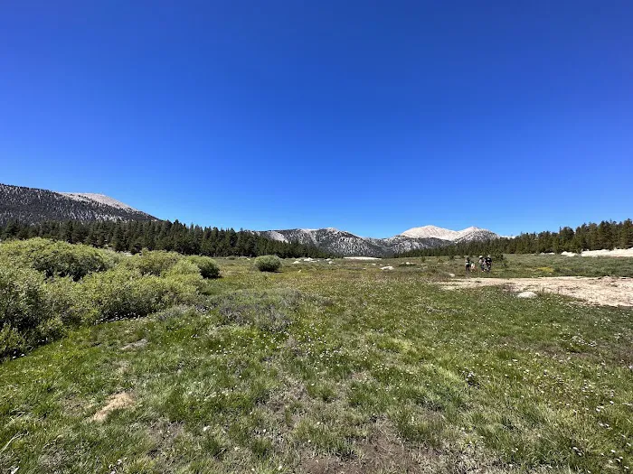 Cottonwood Pass Trailhead Campground Picture 2
