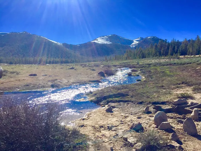 Cottonwood Pass Trailhead Campground Picture 9