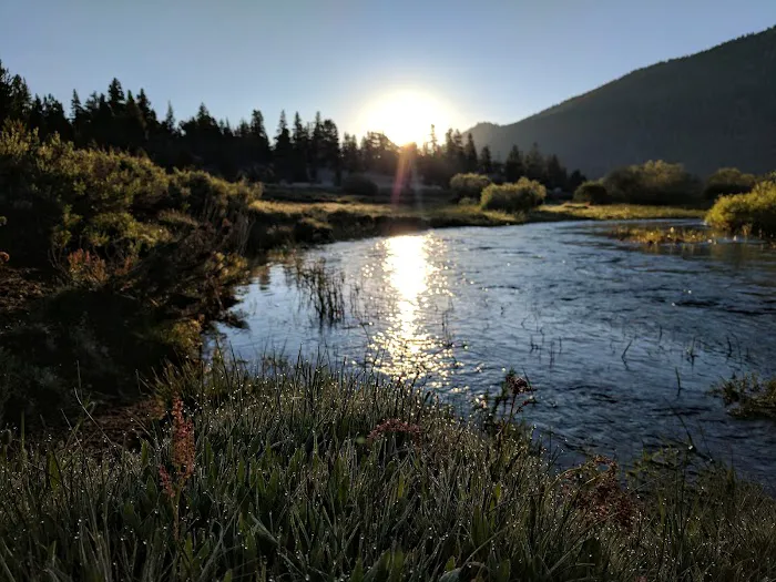 Horseshoe Meadow Campground (recgovnpsdata) Picture 3