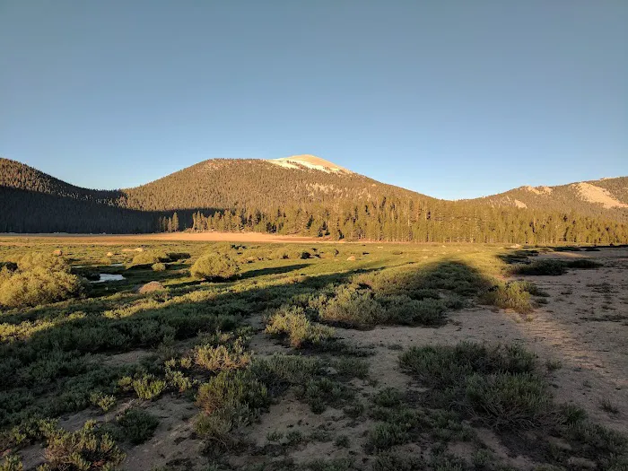 Horseshoe Meadow Campground (recgovnpsdata) Picture 5