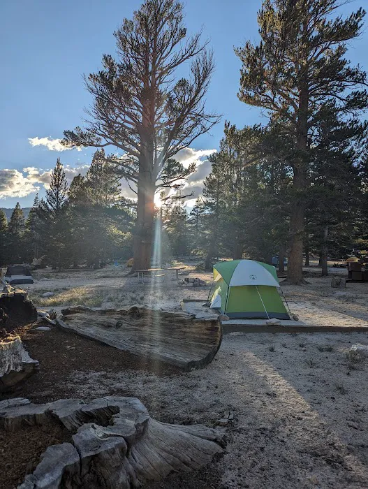 Horseshoe Meadow Campground (recgovnpsdata) Picture 2