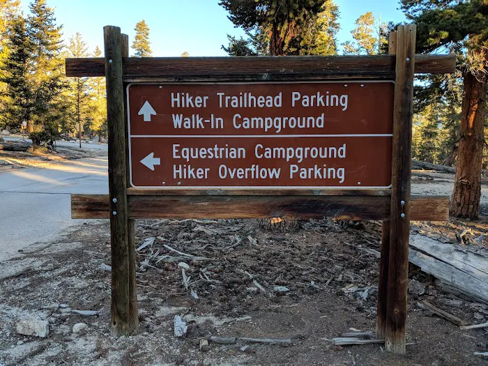 Horseshoe Meadow Campground (recgovnpsdata) Picture 9