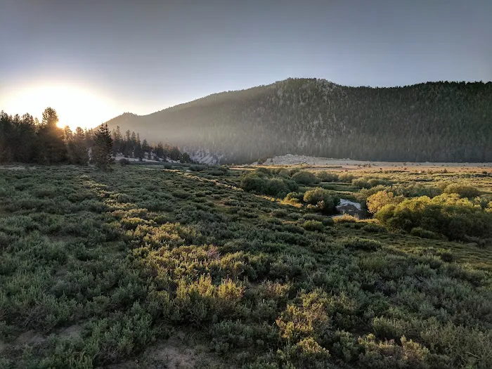 Horseshoe Meadow Campground (recgovnpsdata) Picture 10