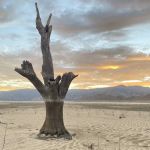 Stine Cove Recreation Site