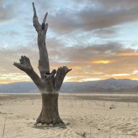 Stine Cove Recreation Site ico