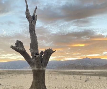 Stine Cove Recreation Site