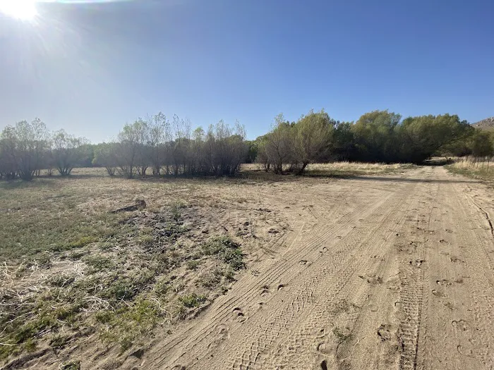 Hanning Flat Dispersed Area Picture 1