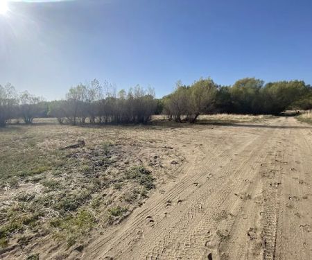 Hanning Flat Dispersed Area