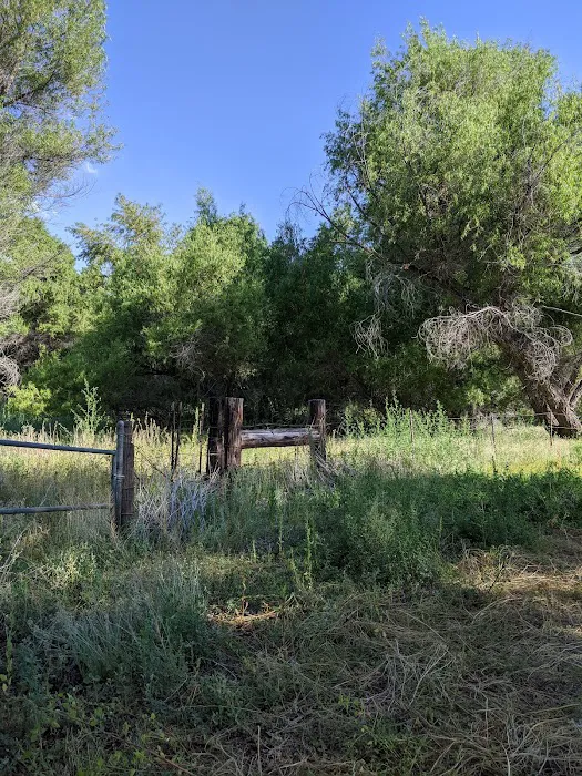 Hanning Flat Dispersed Area Picture 5