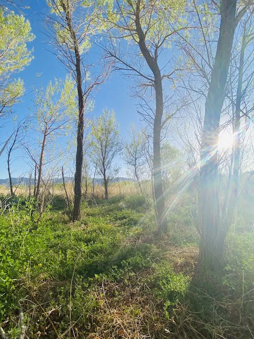 Hanning Flat Dispersed Area Picture 8