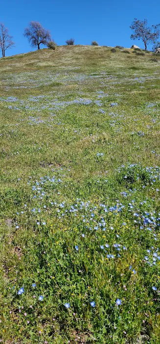 Black Gulch South Picture 4