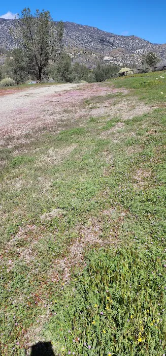 Black Gulch South Picture 7