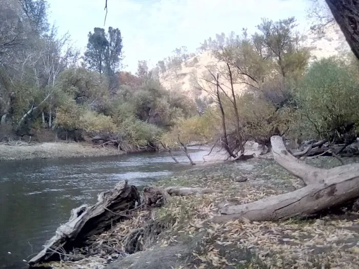 Hobo Camp/ Miracle Hot Springs Picture 7