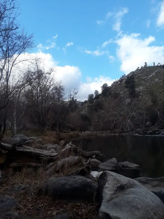 Hobo Camp/ Miracle Hot Springs Picture 10