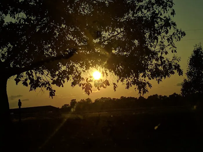 Massengill Mobile Home Estates Picture 1