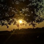 Massengill Mobile Home Estates