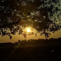 Massengill Mobile Home Estates ico