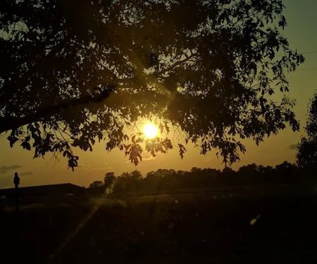 Massengill Mobile Home Estates