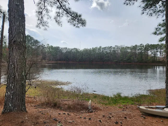 Cipher Green RV Park Picture 1