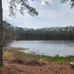 Cipher Green RV Park