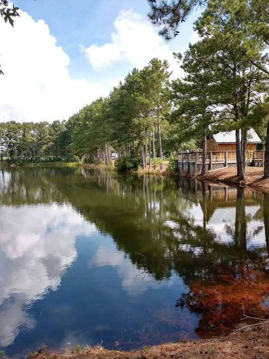 Cipher Green RV Park Picture 10