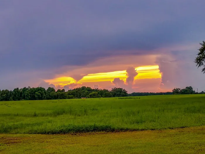 Cipher Green RV Park Picture 6