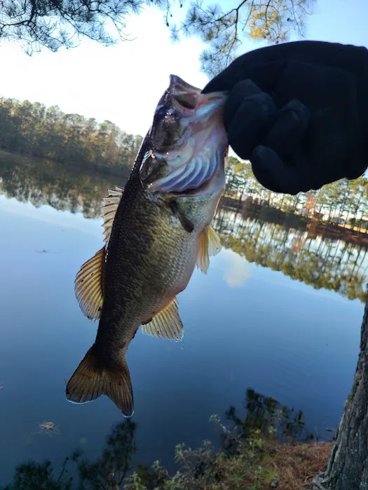 Cipher Green RV Park Picture 7