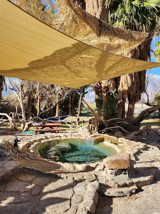 Saline Valley Warm Springs Picture 8
