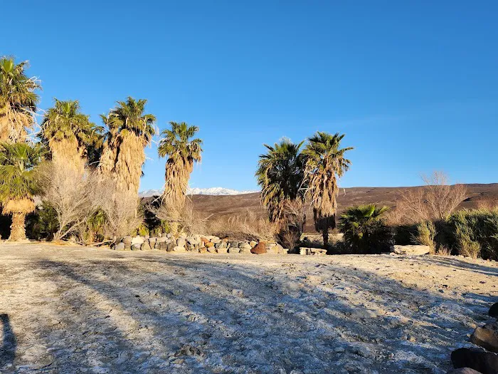 Saline Valley Warm Springs Picture 6
