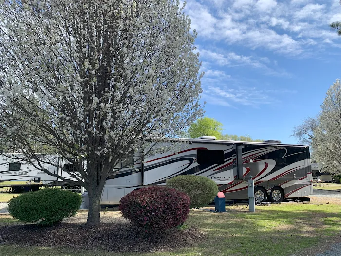 Fayetteville RV Resort & Cottages Picture 5