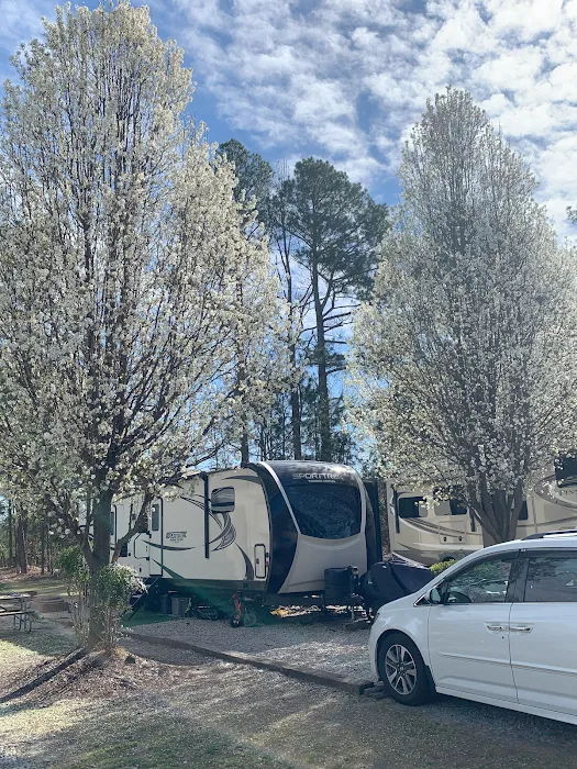 Fayetteville RV Resort & Cottages Picture 9