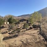 Double Triangle Ranch