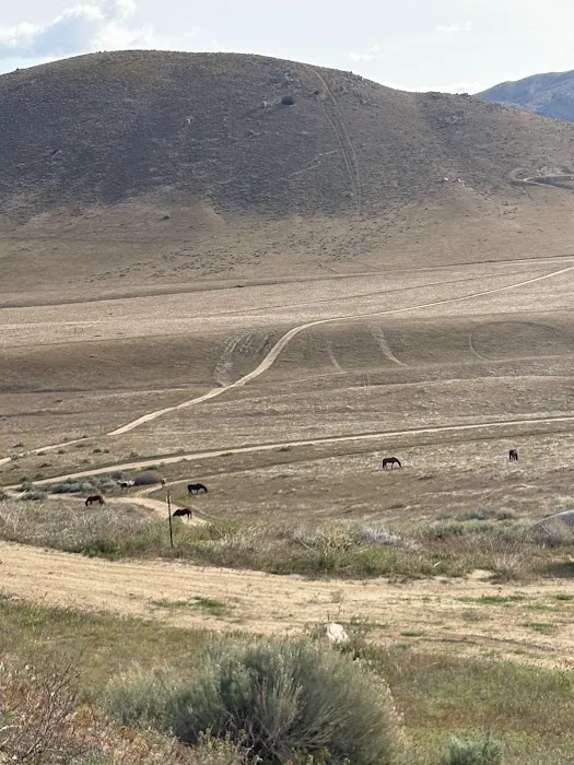 Diamond Acres Camp Picture 3