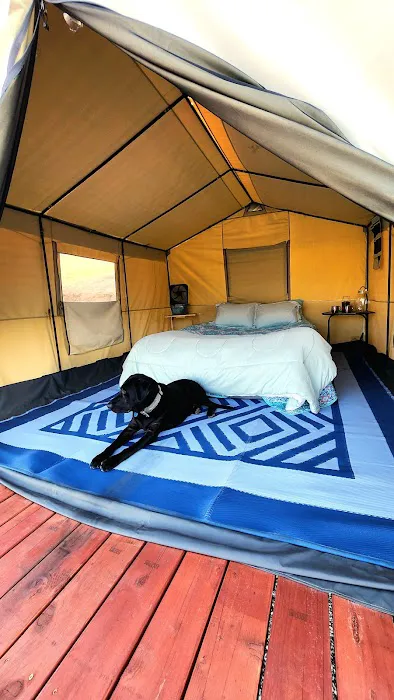 Diamond Acres Camp Picture 7