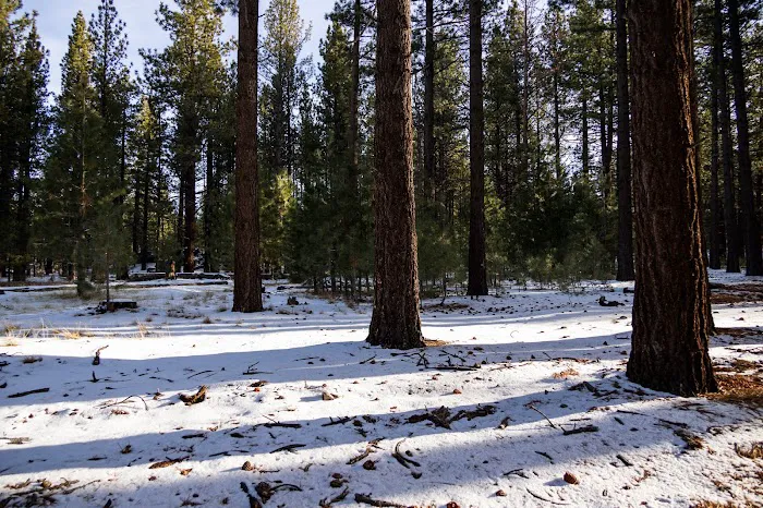 Landers Camp Picture 2