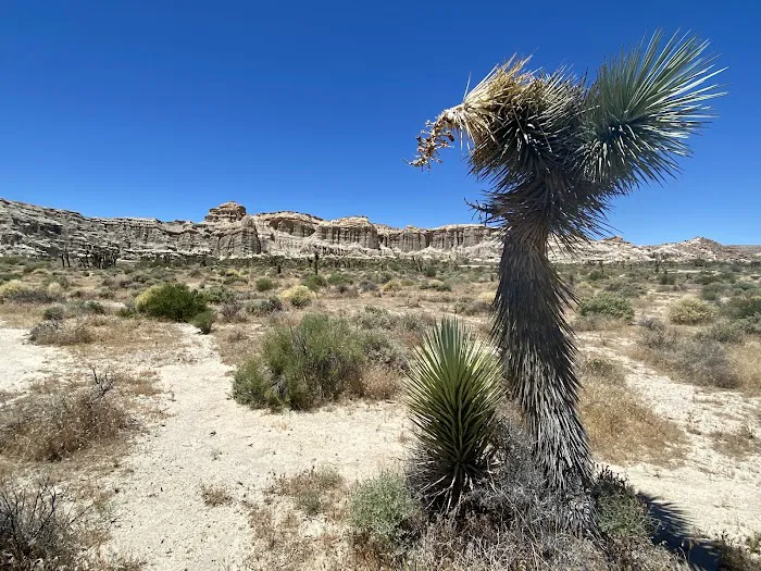 Ricardo Campground Picture 3