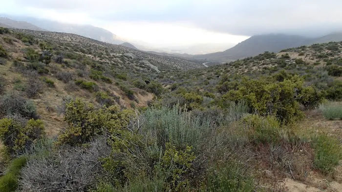 Walker Pass Campground Picture 1